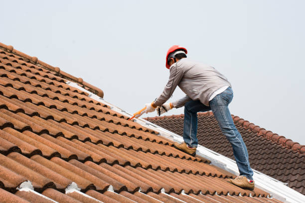 Best Rubber Roofing (EPDM, TPO)  in Crested Butte, CO