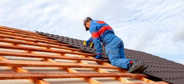 Best Solar Panel Roofing Installation  in Crested Butte, CO