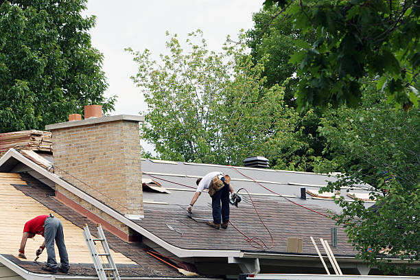 Best Roof Moss and Algae Removal  in Crested Butte, CO