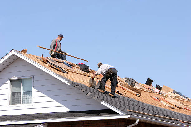 Best Roof Ventilation Installation  in Crested Butte, CO